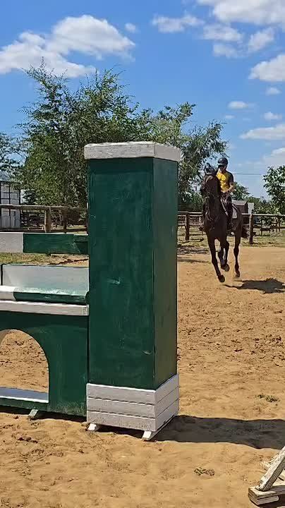 Конь Компас на видео тренируется перед соревнованиями по конкуру, которые пройдут в Тирасполе на выходных