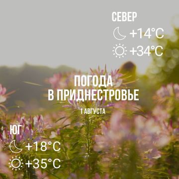 Днём – до +35°С