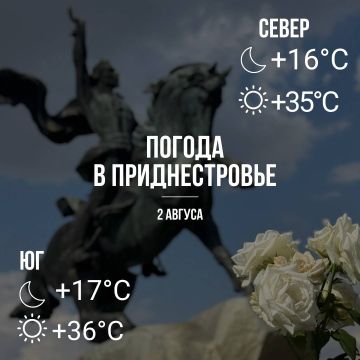 ���� � �� +36��