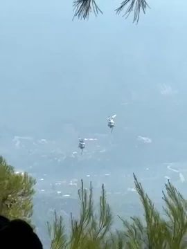 Два вертолета столкнулись в воздухе во время тушения пожаров в Греции