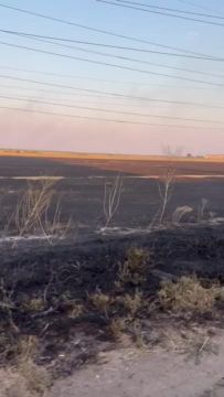 За каналом поле выгорело.. Стерня местами ещё дымит, по всему району пахнет гарью