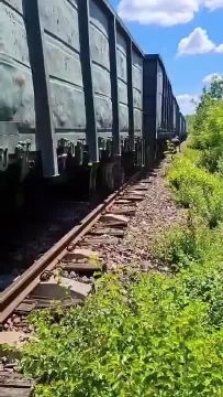 В День железнодорожника в соцсетях опубликовали видео с сошедшим с рельсов поездом на станции Кобыля в Шолданештском районе Молдовы