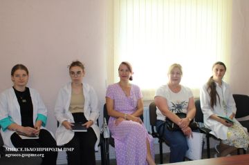 Ветеринарные специалисты Приднестровья провели онлайн-встречу с коллегами из Белоруссии