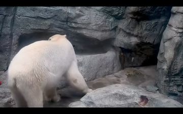 � ��������� �������� �������, ��� ���������� �� ������ ������ ������� ������� ����� �������� �����, �� ���� ���� ������������� ������