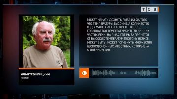 ������ ���� ����������: �������� ������� ���� �� ����������������� ������������� ������� � ����, ��� ������ ����� ������������� ��� �������, ���� ����� ������ �������
