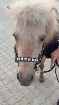 ��� ������ �� ������� ����� ������ ���������� �������� � ��������� ��������