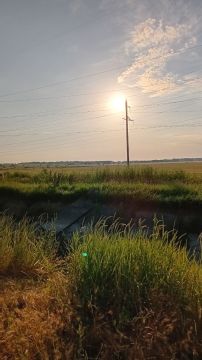 Приднестровское утро: зелень, небо и тишина