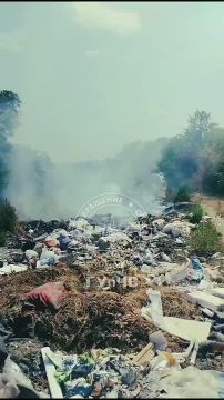 В Большом Молокише (Рыбницкий район) пожарные не дали огню перейти на лесополосу
