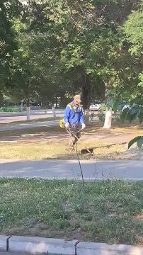 С самого утра косари работают у столичной 9-й школы, пока погода хорошая и не сильно жарко