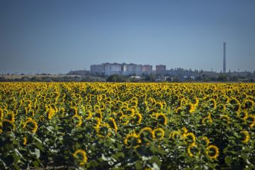 На следующей неделе в Приднестровье — до +33 °С, без осадков