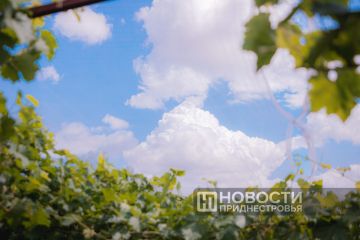 +33 °C обещают синоптики в Приднестровье на следующей неделе