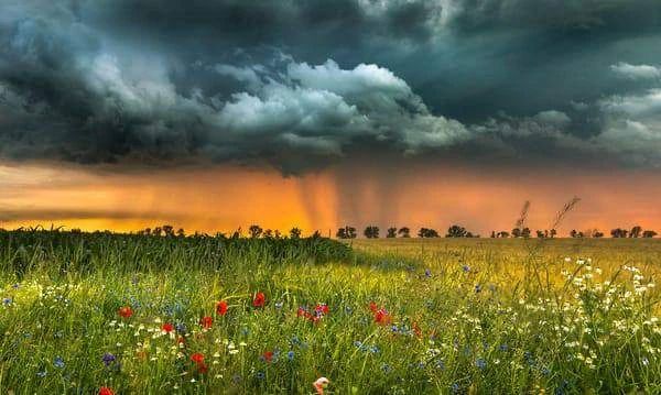 В ближайшие часы и вечером по республике – грозы, местами сильные ливни и ветер до 18 м/с, предупреждает Гидромет