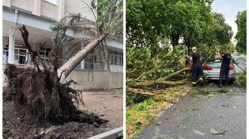 Шквалистый ветер повредил ЛЭП Бельцы-Днестровск: Молдова подсчитывает ущерб после стихии – синоптики прогнозируют еще один ураган