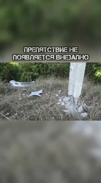 С начала года в Приднестровье произошло 160 наездов на препятствия