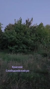 6 ������ �������� �� ������ � ������ � ���� ������� �������������� ������