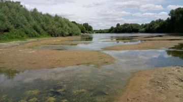 На берегу Днестра нашли боеприпас времён Великой Отечественной войны