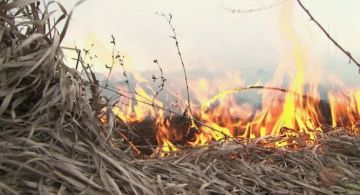 За минувшие выходные пожарные республики 29 раз выезжали тушение возгораний сухой травы, мусора и сухостоя