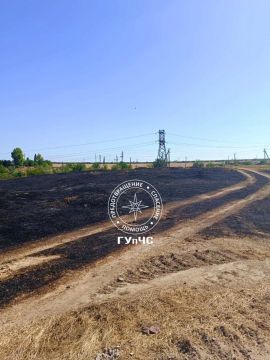 В Григориополе сгорели 83 га сухостоя