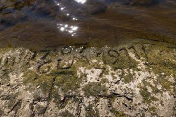 "Камни голода" показались на Эльбе в Германии из-за долгой засухи