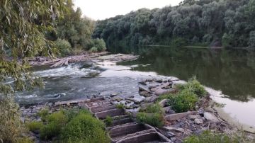 Доброго утра!. Сегодня, 11 августа, ожидается малооблачная погода, без осадков