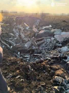 Фото сбитого украинского МиГ-29 в Одесской области