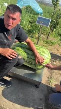 Молдавский фермер вырастил 74-килограммовый арбуз и побил собственный рекорд - всего год назад он вырастил арбуз-гигант, который весил 40кг