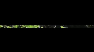 ������� �������� �������� �������������� ����� ������������