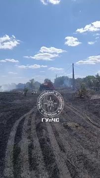 По предварительной информации, площадь возгорания составляет уже около 2000 кв. метров