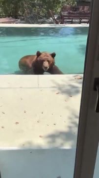 ���� �������� � ��������, � �� �������� ����� +35, ��� ��������� �� ����