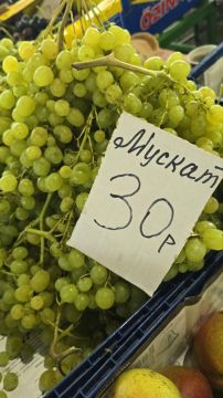 Местный мускат на Зелёном рынке сейчас продают по 30 рублей, неделю назад был по 35