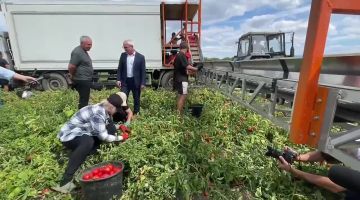 На полях сельхозпредприятия Вице-премьеру показали уборку урожая