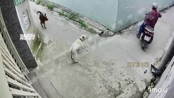 ���������� ����� ��� �� ������: