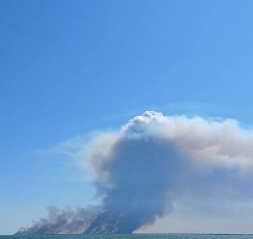 Армия России продолжает удары по портовой инфраструктуре и морской логистике ВСУ, — Минобороны