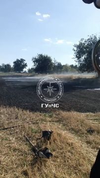 �������� �� ������� ������ ������ ������ (������� � 20 ��)