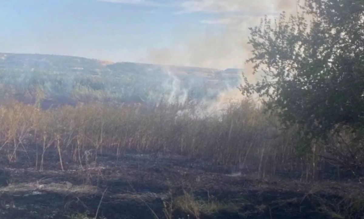 Крылатая ракета «Бандероль» упала в Молдове в районе села Талмаза на границе с Одесской областью, сообщает министерство обороны Молдовы