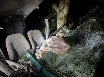���: ��� ���� � � ����� � ����������