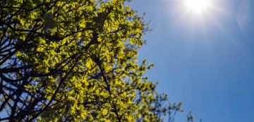 �������� ��������� ��������� �������������� �� ����: ������� � ������ �� ���������� ��������� ����������� ������� �� +35��