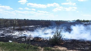 Накануне на Ближнем Хуторе горело 22 гектара сухой травы