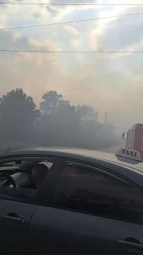 Свалка и гаражи горят возле Кировского в Тирасполе - из-за ветра огонь перекинулся сюда с карьера на Ближнем Хуторе