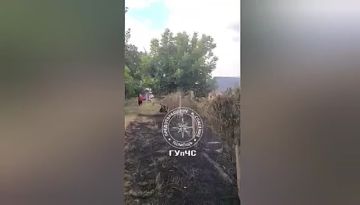 А это кадры с Ближнего Хутора