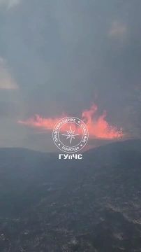 Вот так вчера полыхала сухая трава в Парканах у маслобойни