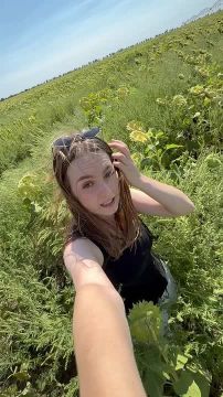 Амброзия захватила поле подсолнечника в Бутучанах, некоторые заросли ростом с нашего корреспондента
