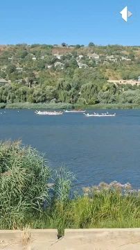 Стартовали первые заплывы. Подписывайтесь на нас в MAX