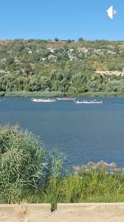Стартовали первые заплывы. Подписывайтесь на нас в MAX