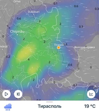 +19 послезавтра показывает метеорадар: весь день по прогнозу дождь