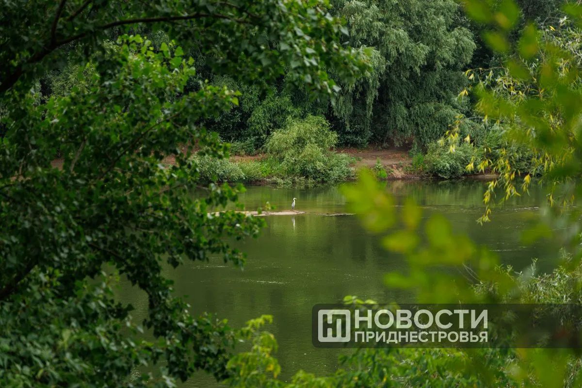 Днестр достиг очередного антирекорда
