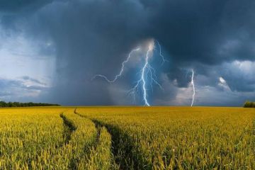 ��������: ��������� ��������������