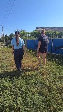 Хозяйка дома в Слободзее не знала, что у неё на участке росла амброзия, пока инспектор экологической милиции не показала ей куст прямо у забора
