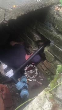 Еще одному маленькому хвостику понадобилась помощь спасателей — на этот раз в столице