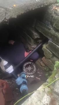 В Тирасполе, на улице Ленина, 26 августа спасатели вытащили щенка, который застрял в водопроводном колодце